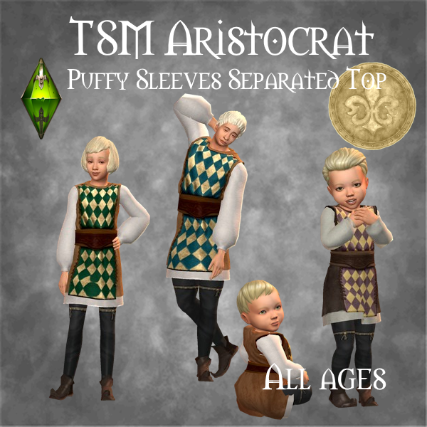 TSM Aristocrat Puffy Sleeves Simple Top Separated logo