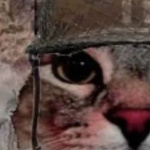 user_embuc7oxbhvqqoqq member profile picture