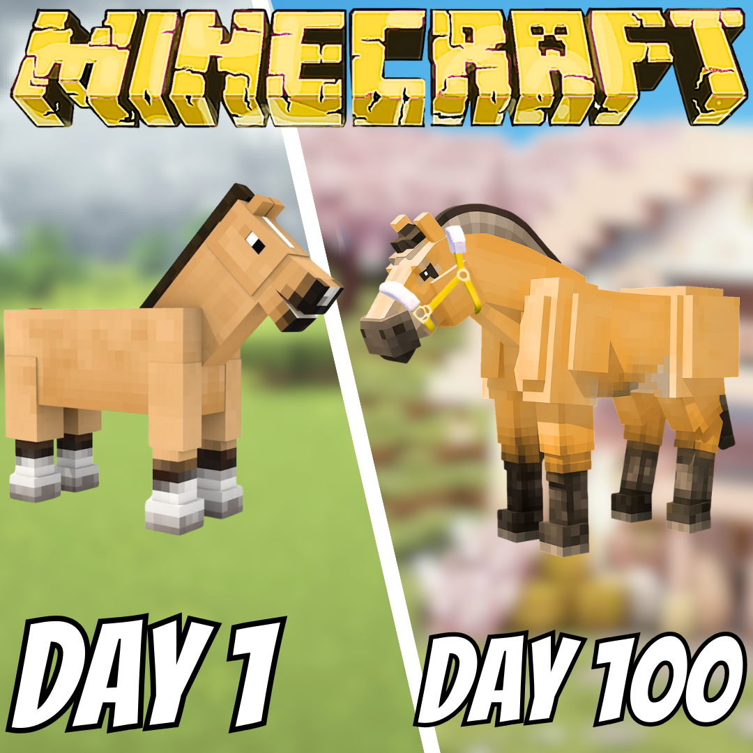 Cosmic Equestrian's 100 Day Horse Challenge