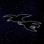 View nocturnalcorvuz's Profile