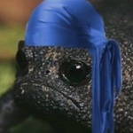 S33RFULL member profile picture