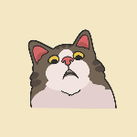 Dreamzxc11 member profile picture
