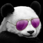 Guzzlebeard member profile picture