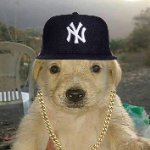 iTz_AdriXx member profile picture