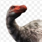 user_udrtmyutviaxe4hp member profile picture
