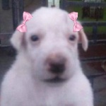 Smilinguida member profile picture