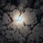ZA7ZX member profile picture
