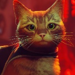 kaifnaf member profile picture