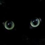 AlexisAngel member profile picture