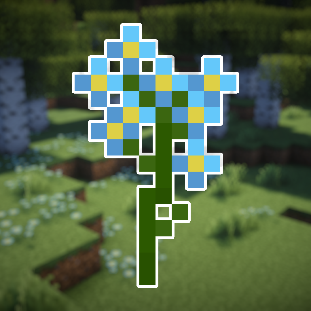 Forget-me-not Wildflowers
