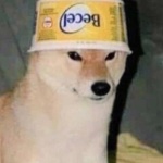 inputHere member profile picture