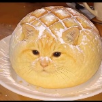 Callachik member profile picture