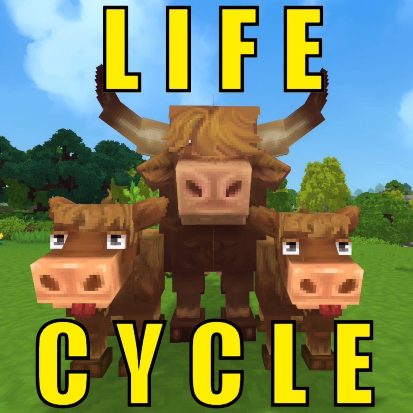 Life Cycle project artwork