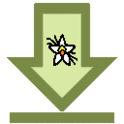 Litematic Downloader logo
