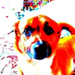 bebro287 member profile picture