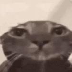 GamerJole member profile picture