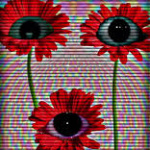 MrNothing_