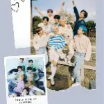 yellowwhale member profile picture