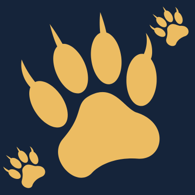 Wolfpack project artwork