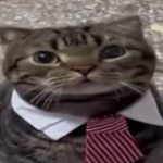 View interly's Profile
