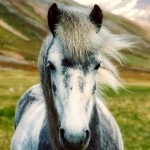johnlrc18 member profile picture