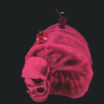 HanBroBro member profile picture
