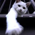 View Narigorm's Profile