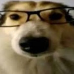 RAGON2q member profile picture