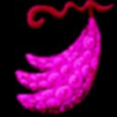 project-1463396 logo