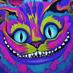 View Owlplaybbq's Profile