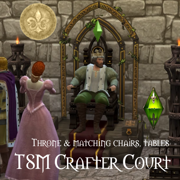 TSM Crafter Court Set logo