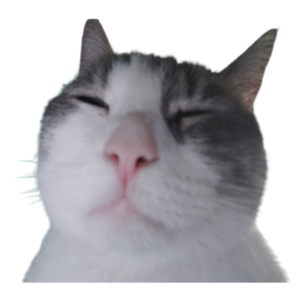 Pecky's Optimizated Forge - POF logo