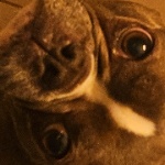 kazsey member profile picture