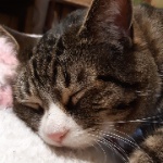 View nexy_mcnexington's Profile