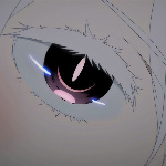 envyqion member profile picture