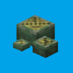 Barnacle_guuy member profile picture