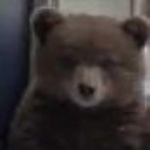 Acsarus member profile picture