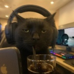 Lonors member profile picture