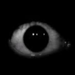 NovaSeer member profile picture