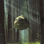steelforcehdz member profile picture