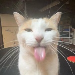 Wafflegaming182 member profile picture