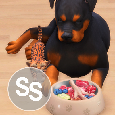 Natural food for pets logo