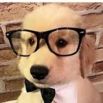 RaniZero member profile picture