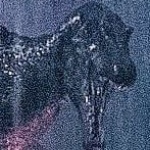 ApersonxD15 member profile picture