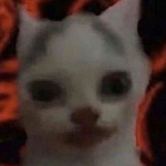 Iggyxio204 member profile picture