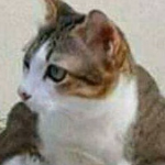 Clemont49 member profile picture