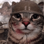 Ard_mods member profile picture
