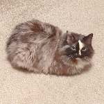 View seblasted's Profile