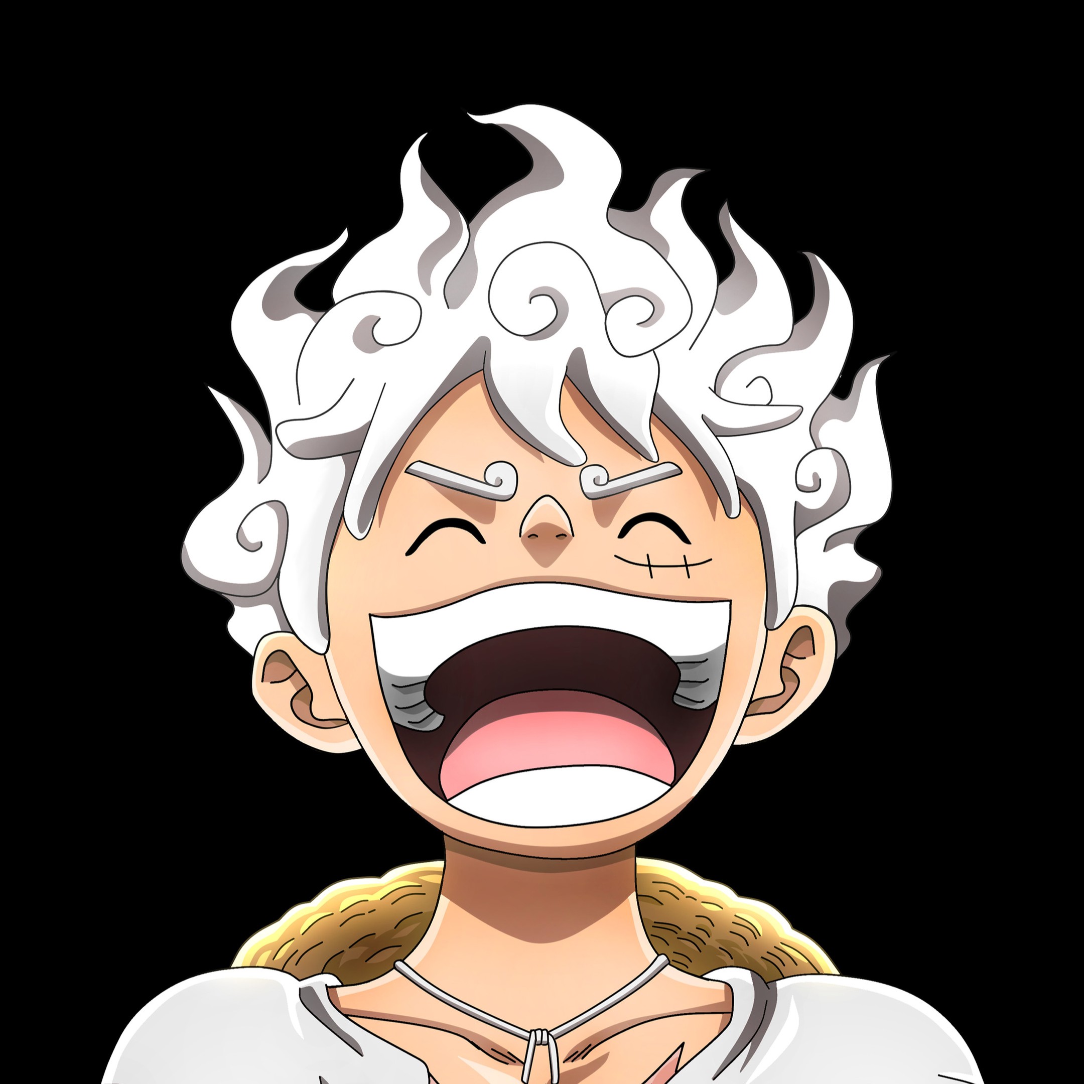 Luffy Craft