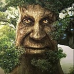 Cini06 member profile picture